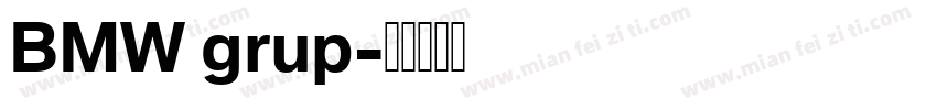 BMW grup字体转换